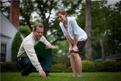 Lawn Aeration Tips Lawn Aeration Tips
