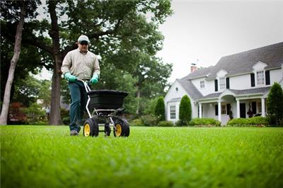 What is Overseeding