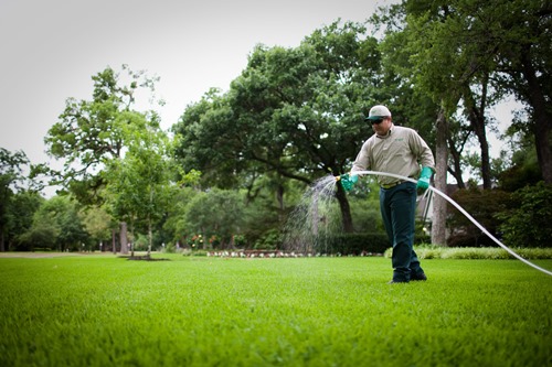 Lawn Fertilizer Service For a Healthy Lawn | It's All About Nutrition