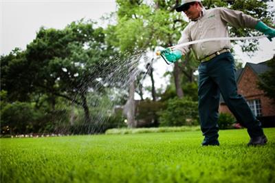 Fall Overseeding Fall Overseeding
