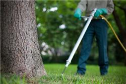 Expert Tree Service