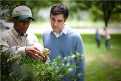 Top-Notch Tree Service