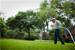 Lawn Fertilizing