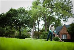 Organic Lawn Fertilizer