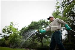 Lawn Fertilizer Schedule