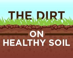 healthy soil