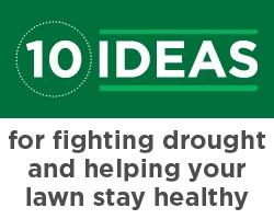 fighting drought