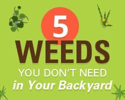 weed control