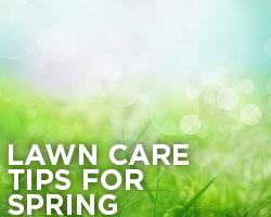 Lawn care tips