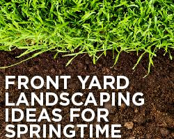 Front yard landscaping ideas