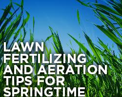Lawn Fertilizing | TruGreen