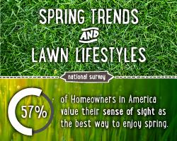 Spring Trends