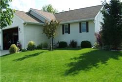 Lawn Care Services