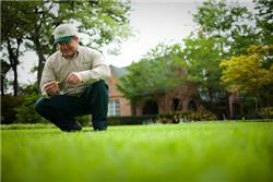 Lawn Maintenance
