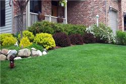 pest and weed control