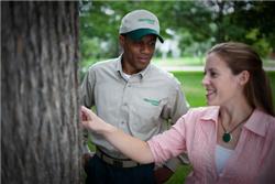 Trees and Shrubs