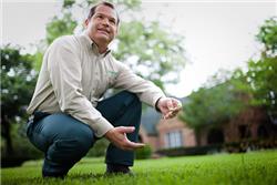 lawn care