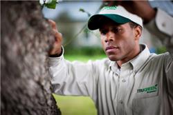 trugreen